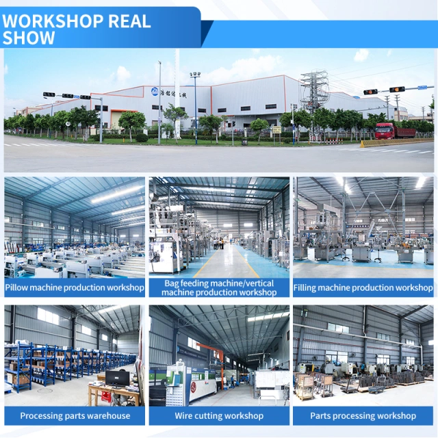Dry goods/dried fruit solid product bottle filling machine - 图片 6